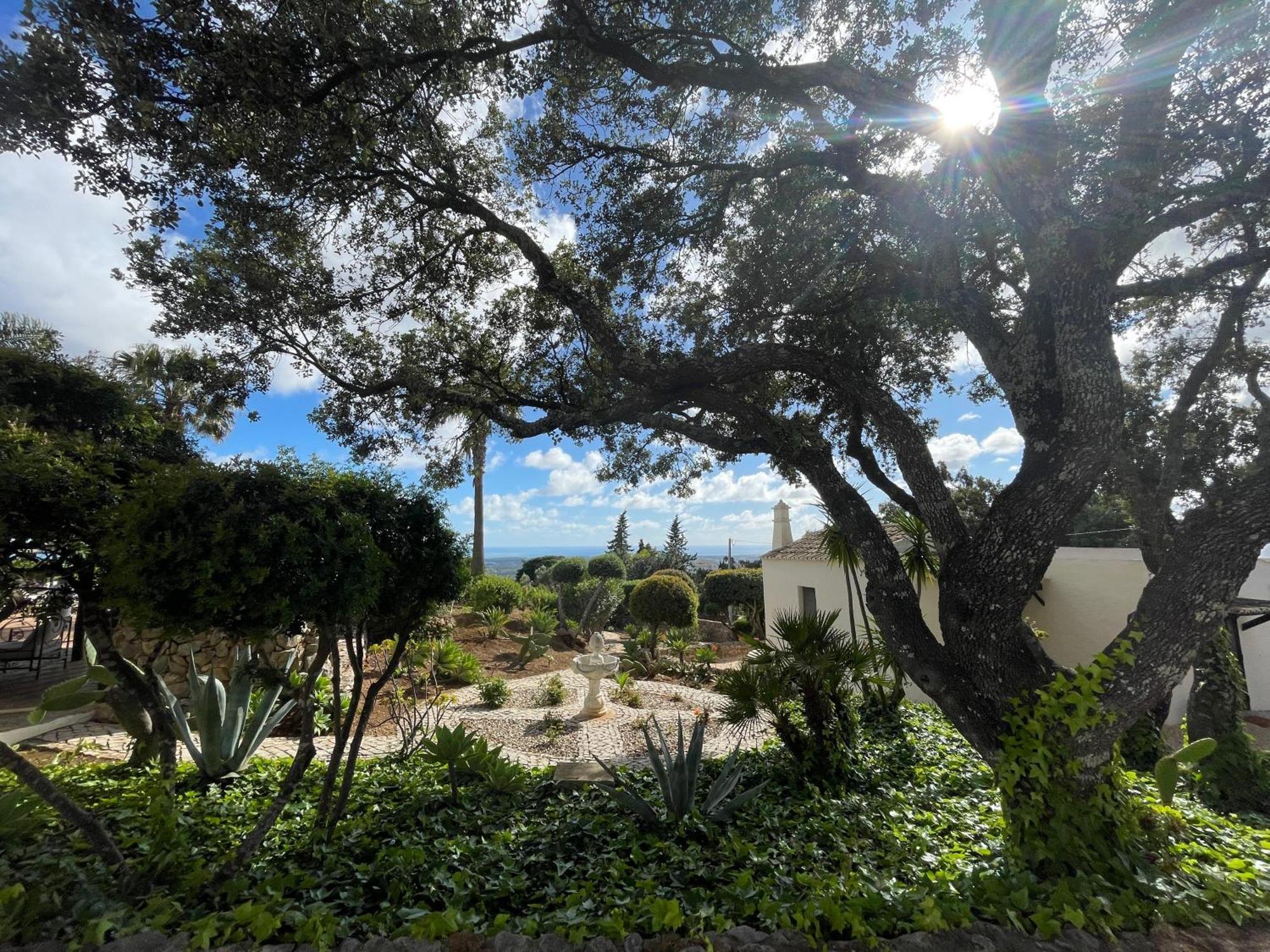 Villa Monte Borboleta à District de District de Faro Extérieur photo